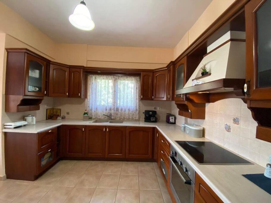 Helen'S House Daire Paleros Dış mekan fotoğraf